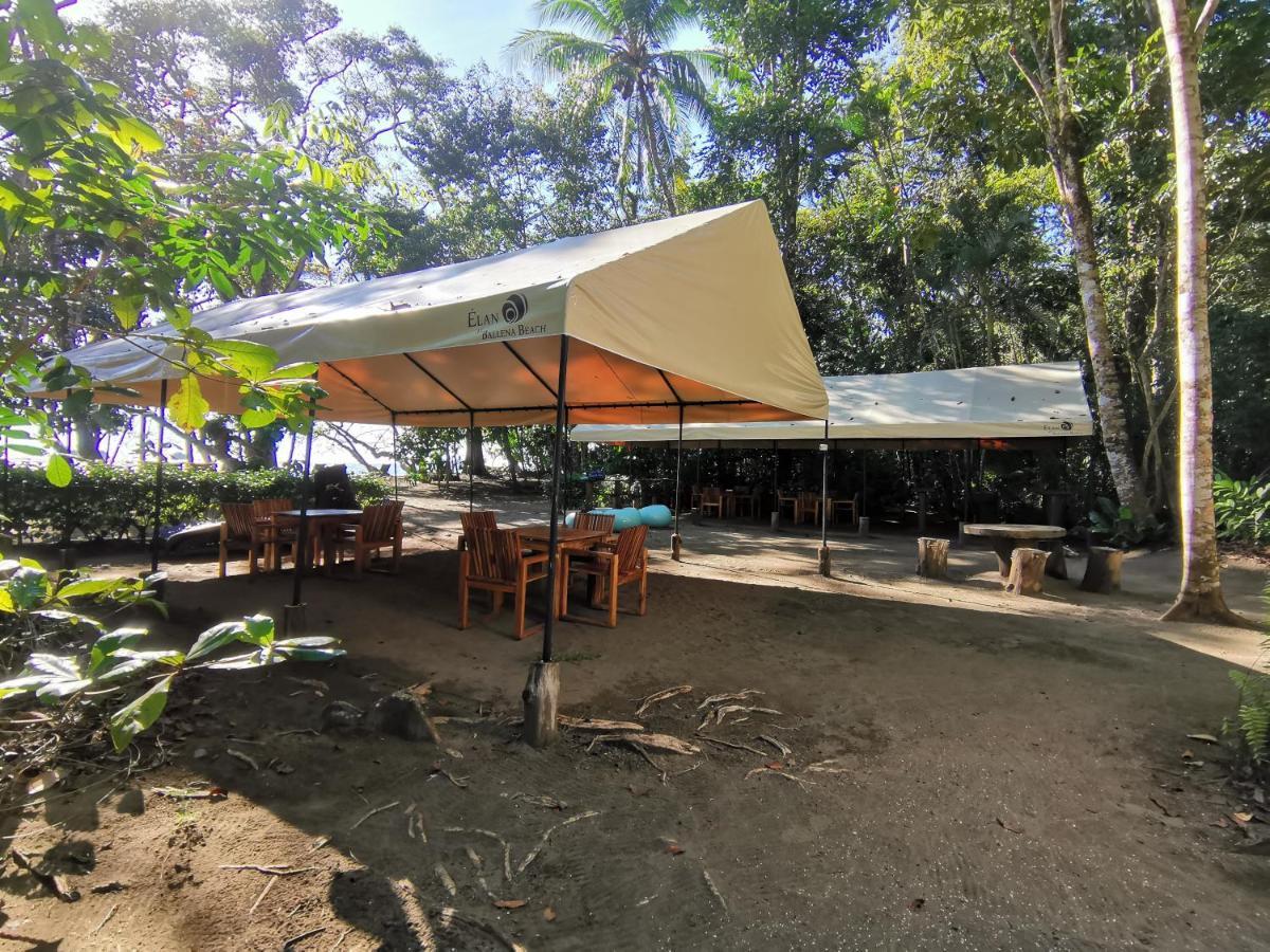 Elan At Ballena Beach Увита Экстерьер фото